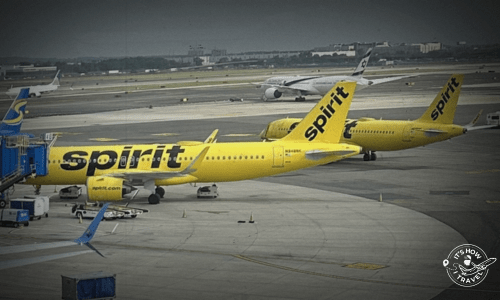 Spirt airlines at the gate at EWR Newark Airport