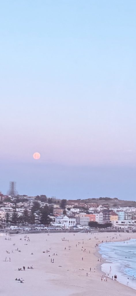 Bondi Beach from the bus - Sydney travel guide 