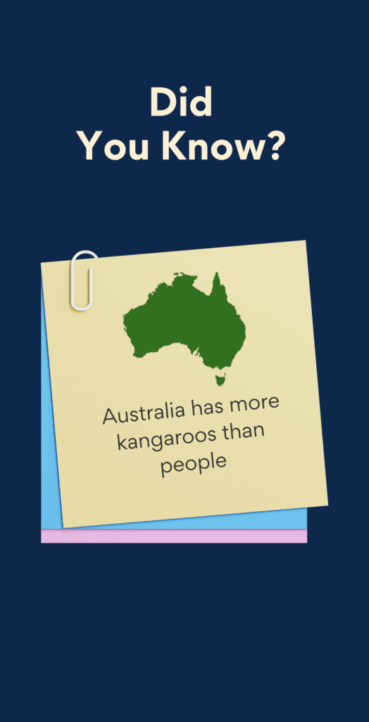 Did You Know - Australia has more kangaroos than people