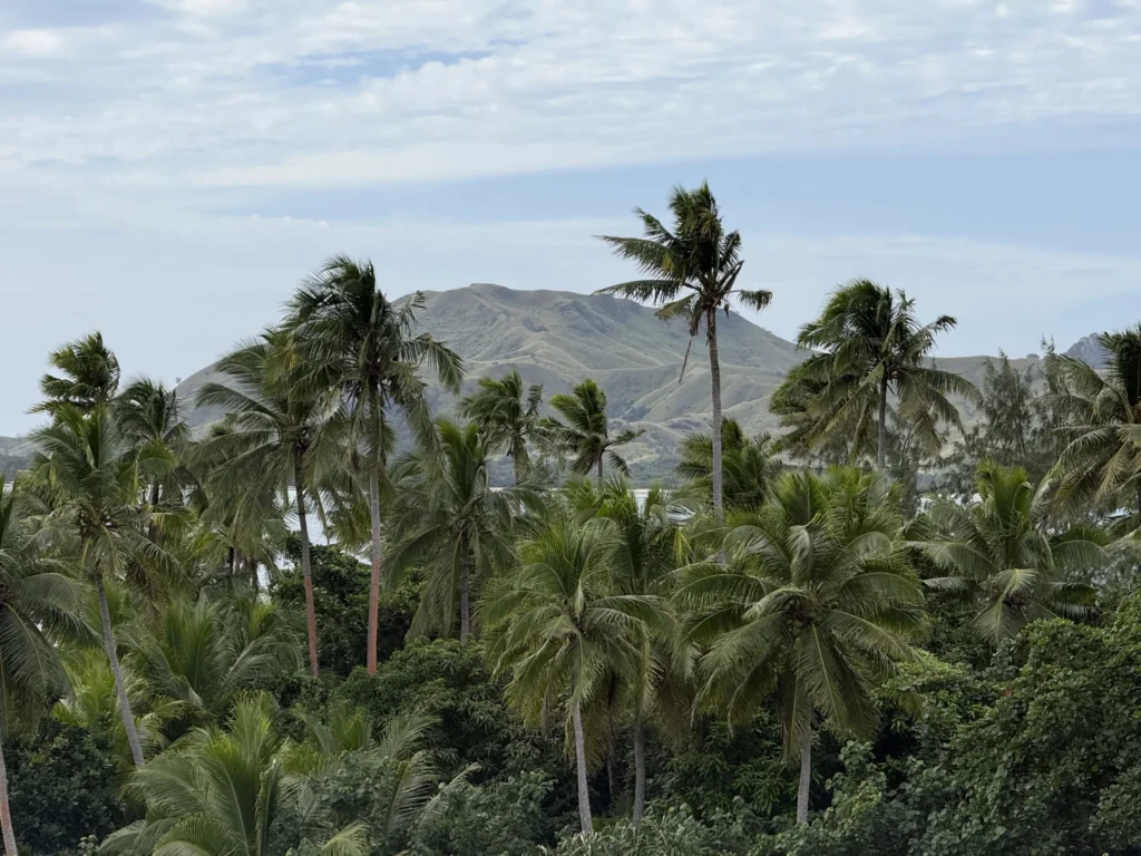 Tropical landscape with lush green palm trees in the foreground and a mountain covered in grass in the background, set near a charming village homestay under Fiji’s partly cloudy sky.