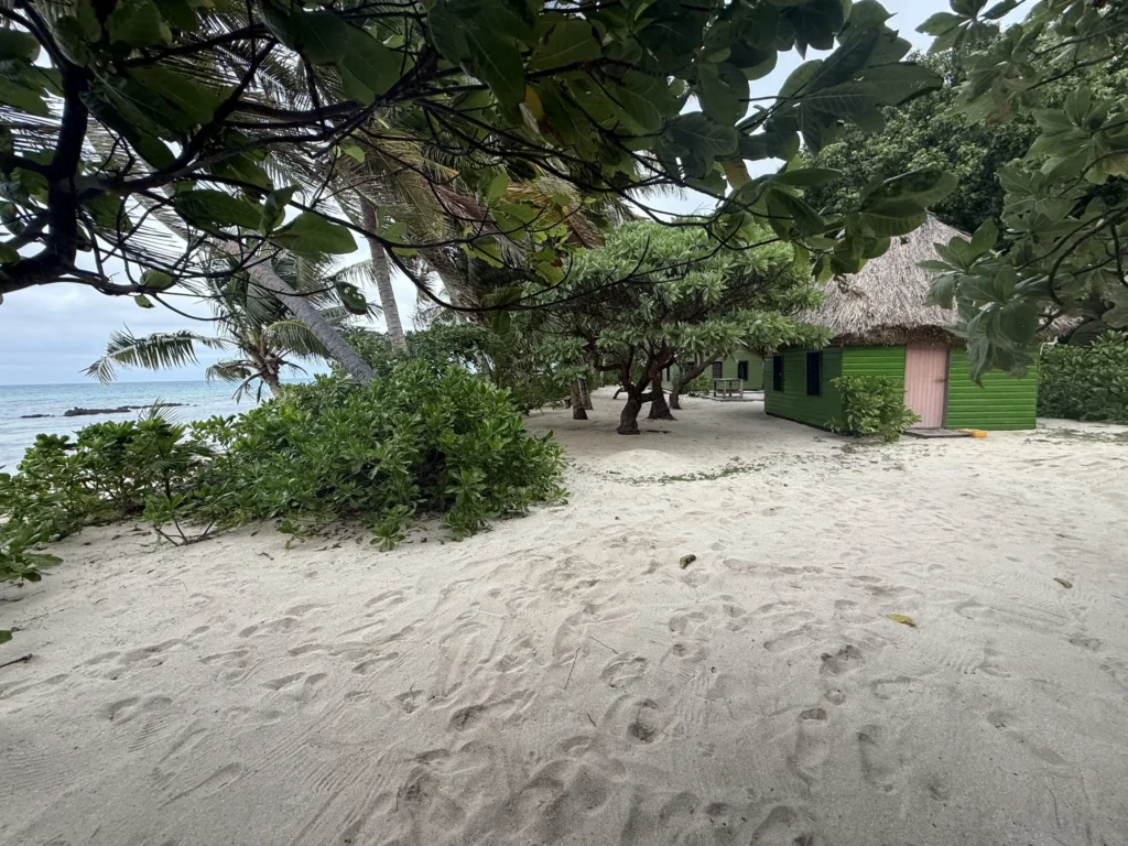A sandy village beach with lush green bushes and palm trees, next to a green homestay hut with a thatched roof and pink door, overlooking the ocean under a cloudy Fiji sky.