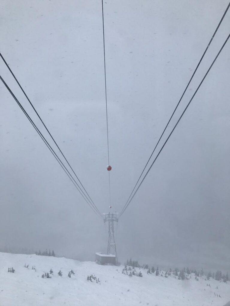 A snowy landscape in Alaska in January features a cable car support tower with cables vanishing into the foggy sky. The ground and trees are blanketed in snow, and visibility is low due to falling snow and mist.