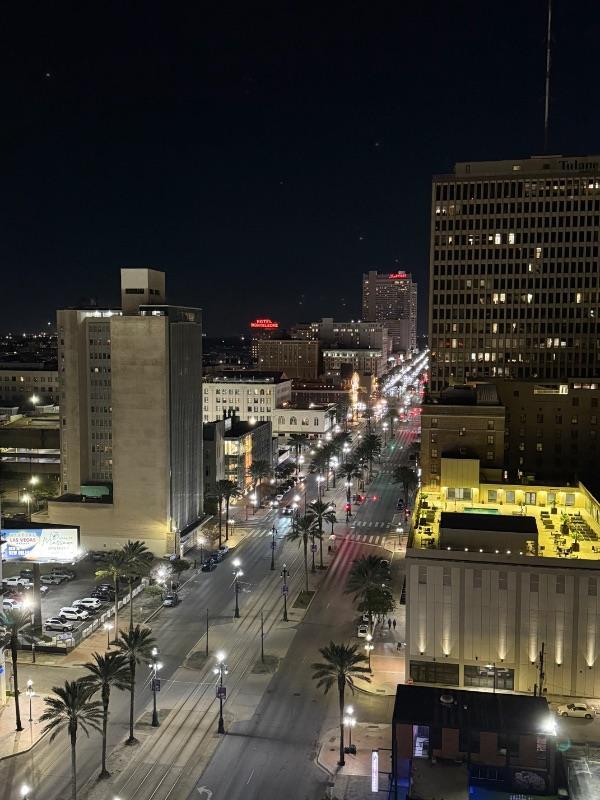 High-angle night view of a Bourbon Street city street lined with palm trees, streetlights, and buildings, including the Hotel Monteleone.